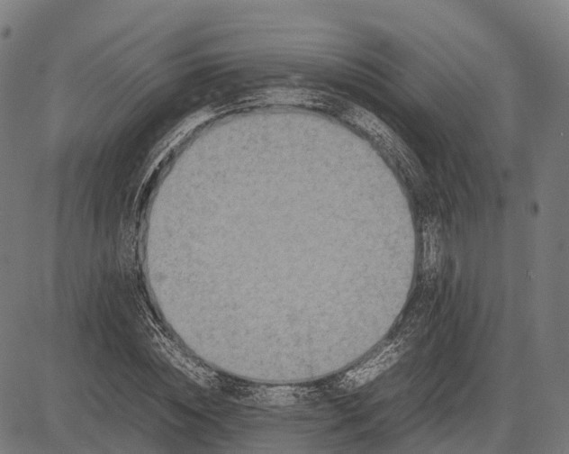 X0000082720828200702091810