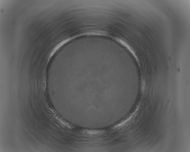 X0000082720829200702091810