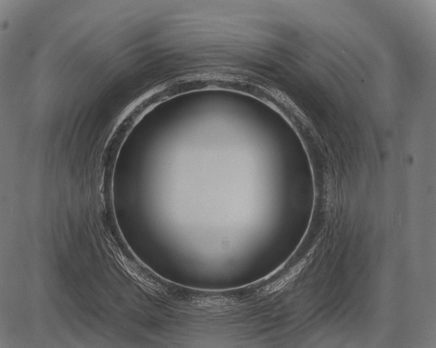 X0000082720830200702091810