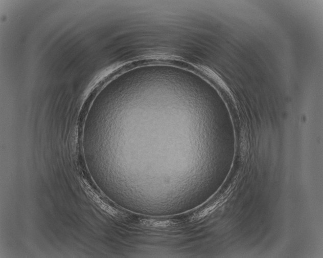 X0000082720831200702091810