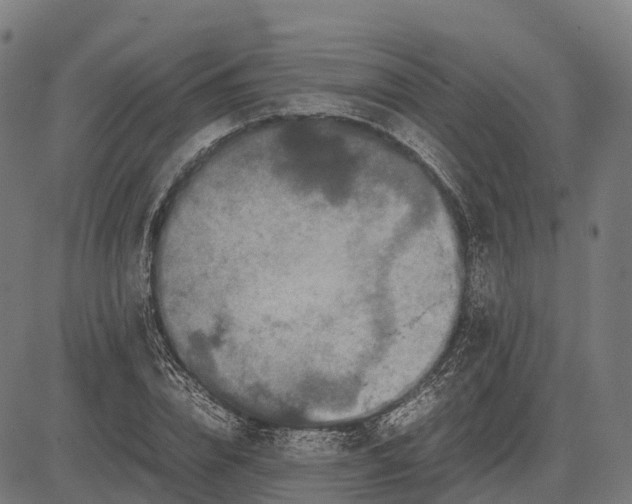 X0000082720832200702091810