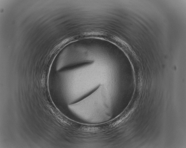 X0000082720833200702091810