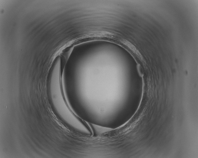 X0000082720834200702091810