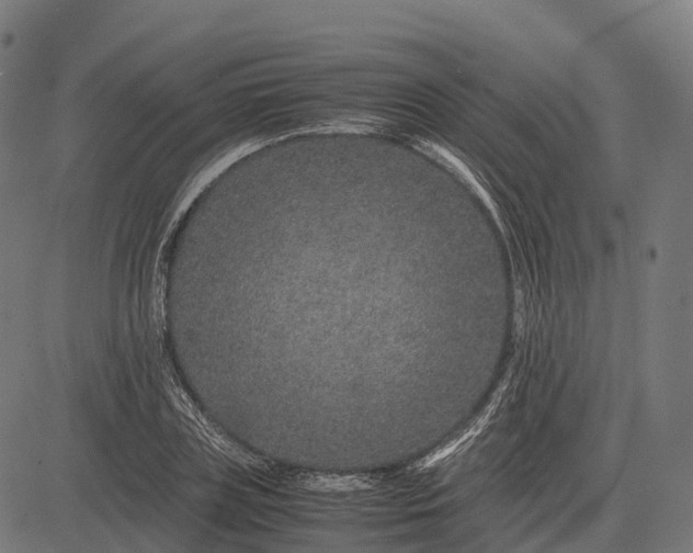 X0000082720835200702091810