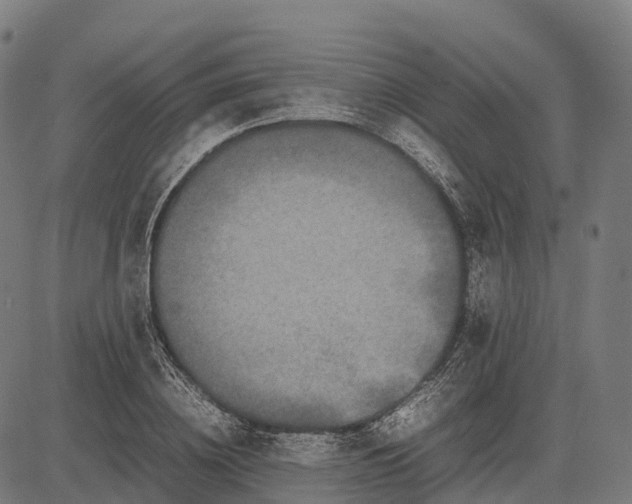 X0000082720836200702091810