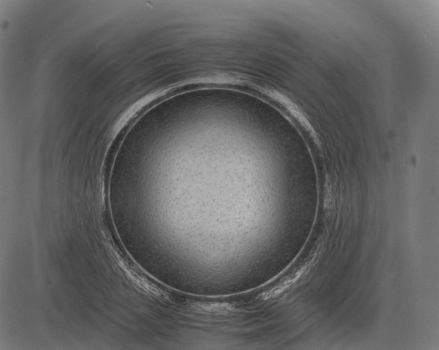 X0000082720837200702091810