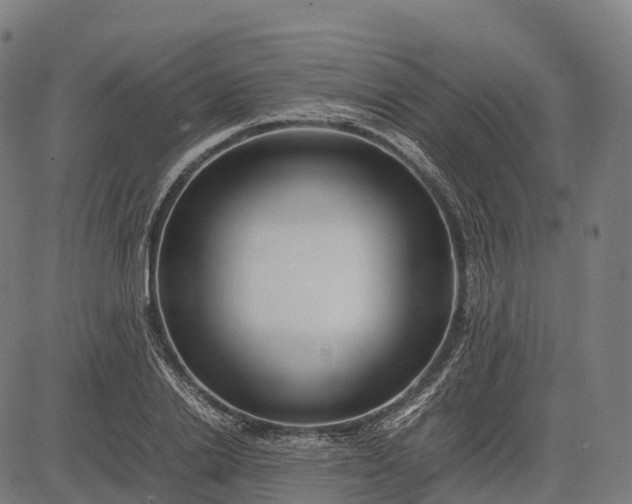 X0000082720838200702091810