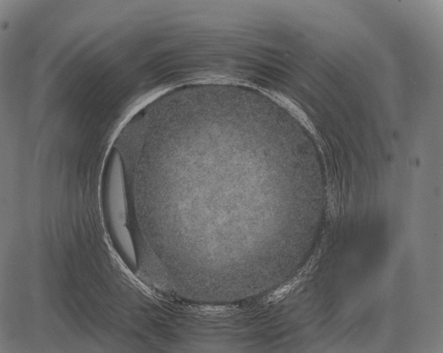 X0000082720839200702091810