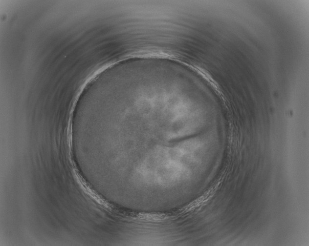 X0000082720840200702091810