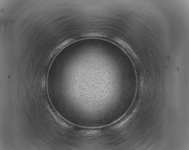 X0000082720841200702091810