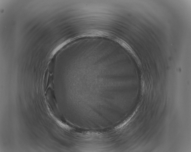 X0000082720842200702091810