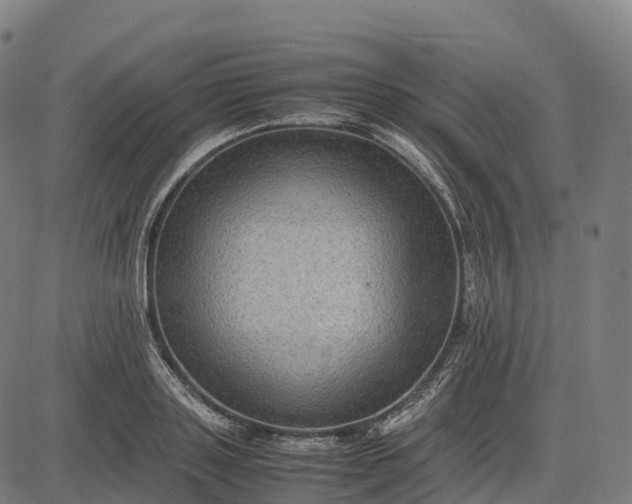 X0000082720843200702091811