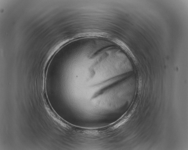 X0000082720844200702091811