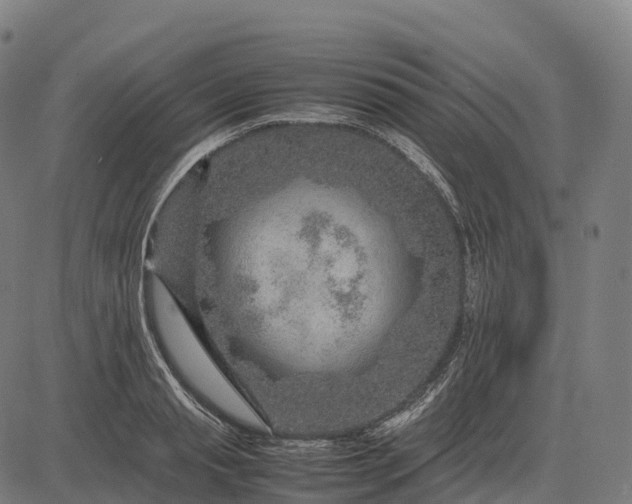 X0000082720845200702091811