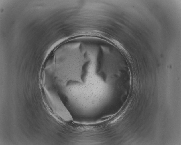 X0000082720846200702091811