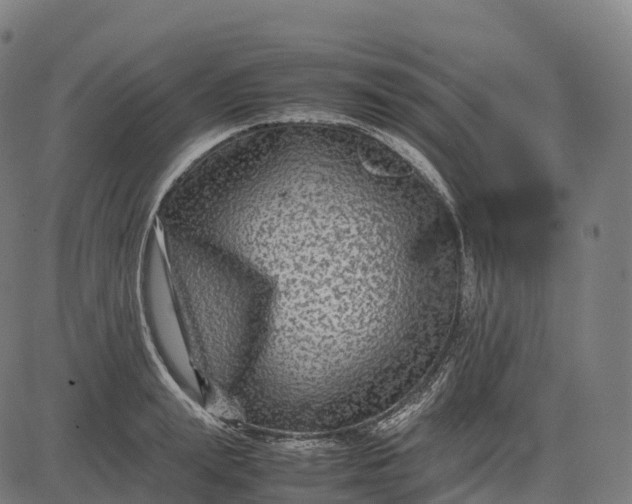 X0000082720847200702091811