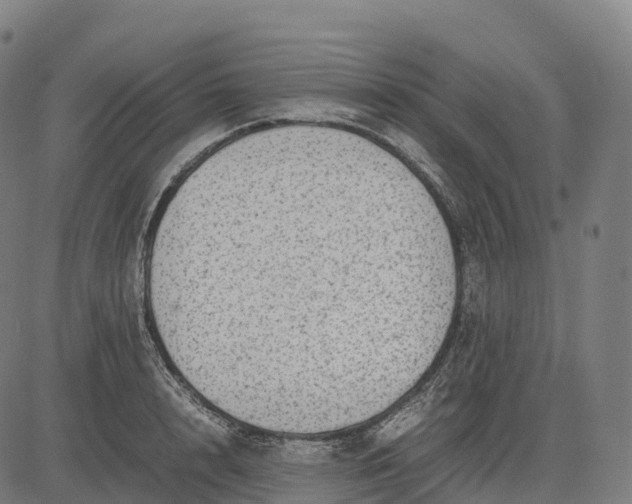 X0000082720848200702091811