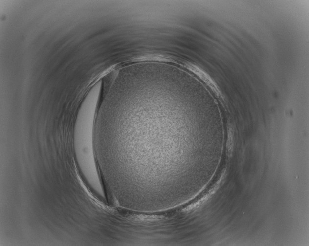 X0000082720849200702091811