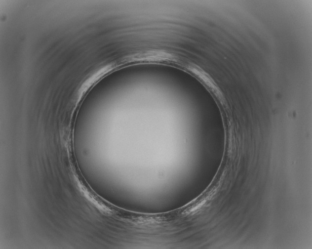 X0000082720850200702091811