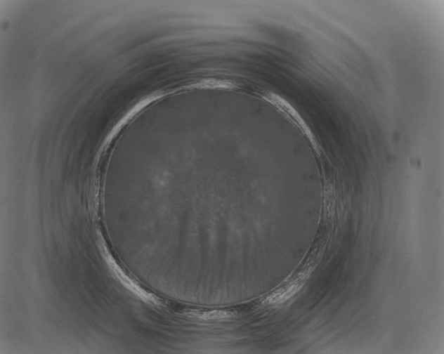 X0000082720851200702091811