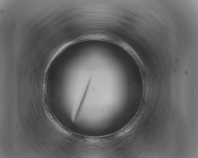 X0000082720852200702091811