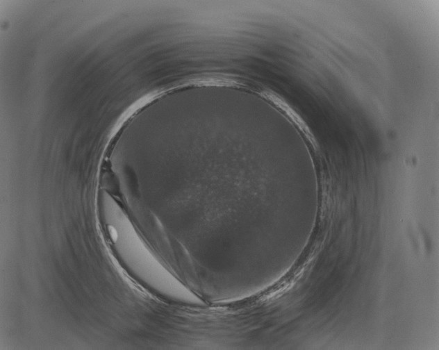 X0000082720853200702091811