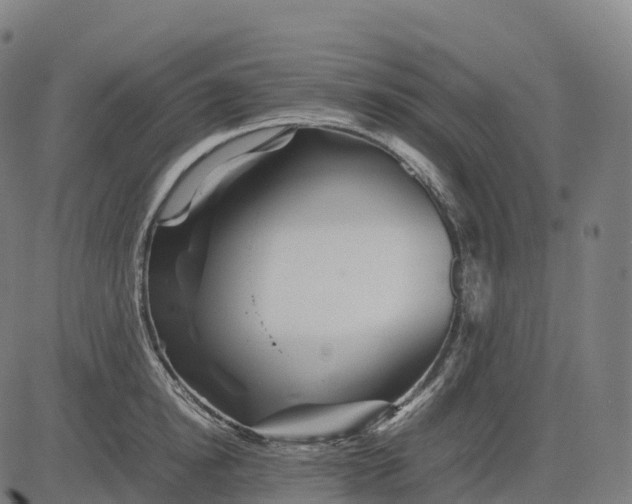 X0000082720854200702091811