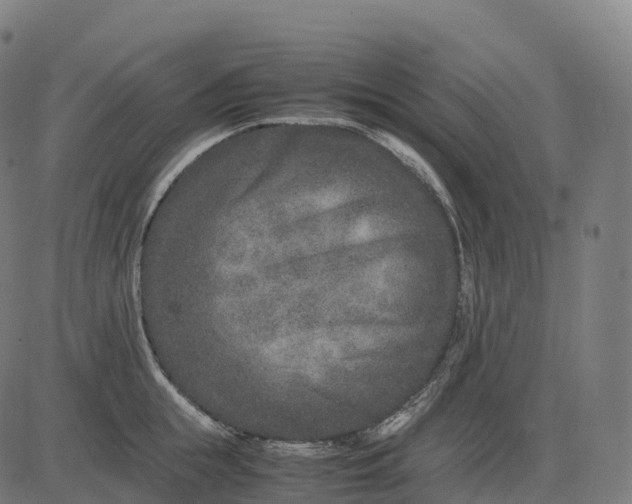 X0000082720855200702091811