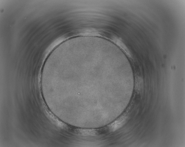 X0000082720856200702091811