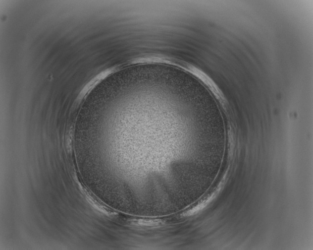 X0000082720857200702091811