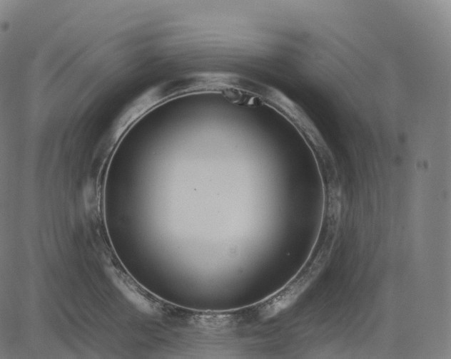 X0000082720858200702091811