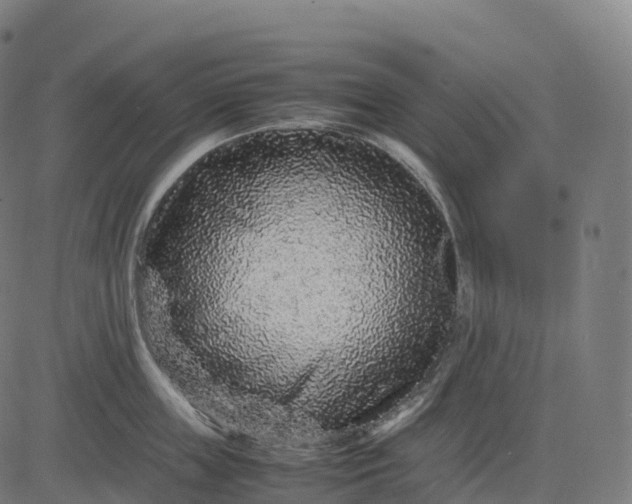 X0000082720859200702091811