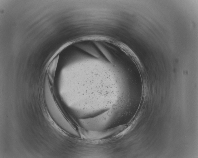 X0000082720860200702091811