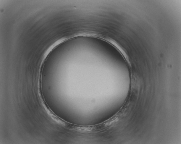 X0000082720861200702091811