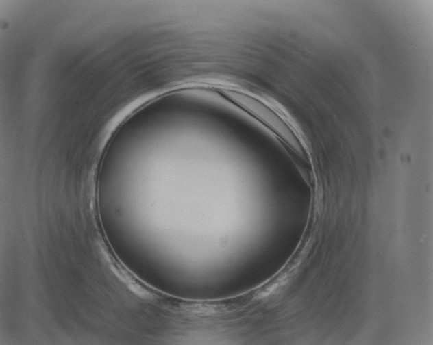 X0000082720862200702091811