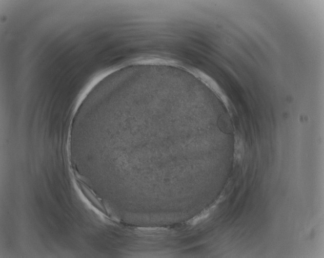 X0000082720863200702091811