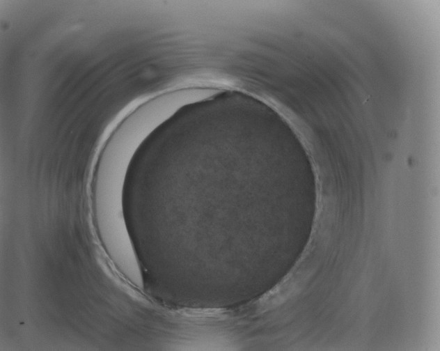 X0000082720864200702091811