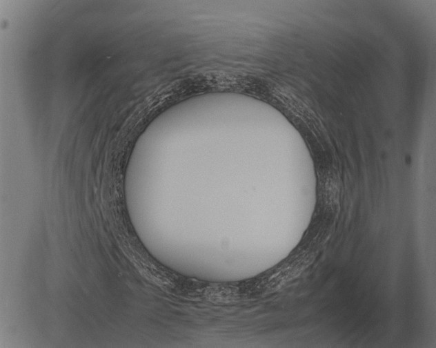 X0000082720865200702091810