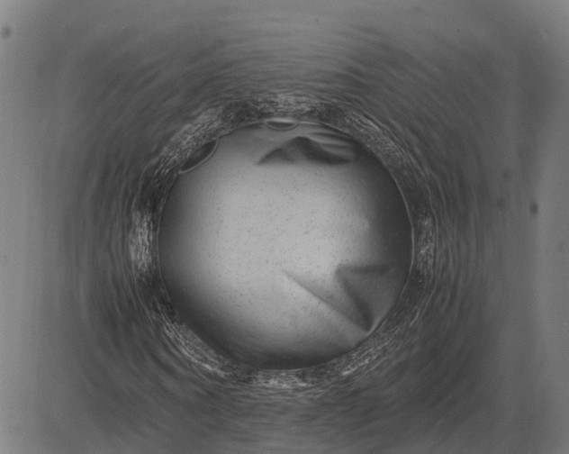 X0000082720866200702091810