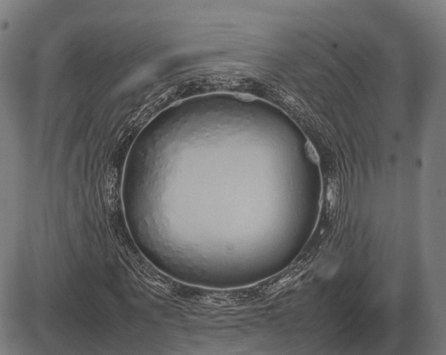 X0000082720867200702091810