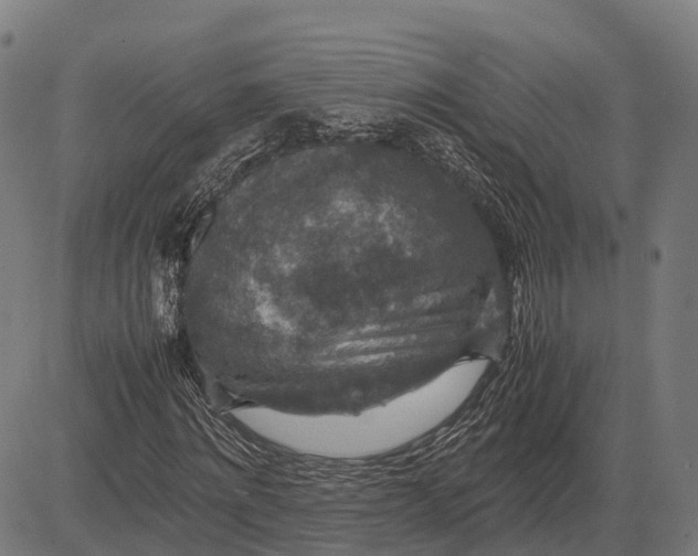 X0000082720868200702091810