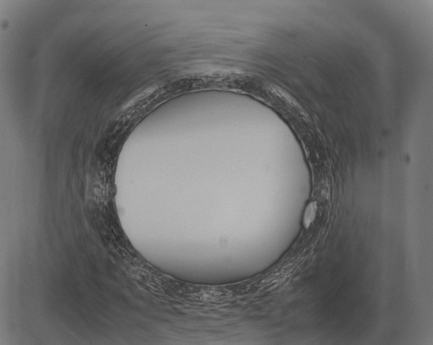 X0000082720869200702091810