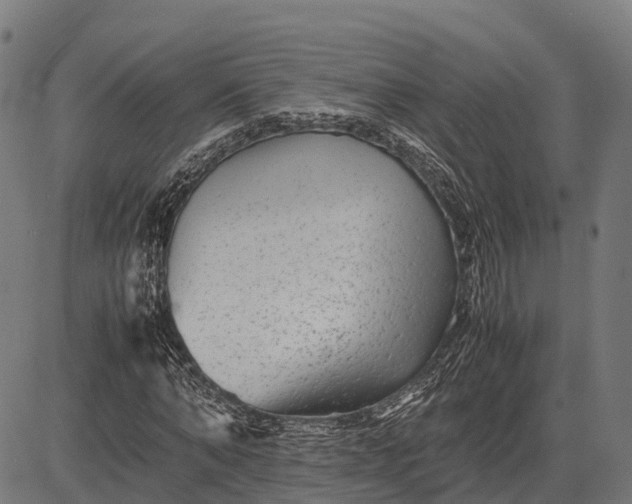 X0000082720870200702091810