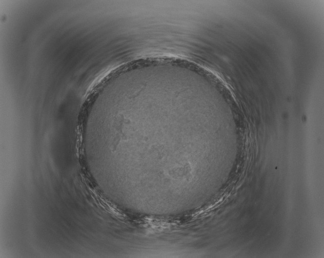 X0000082720871200702091810