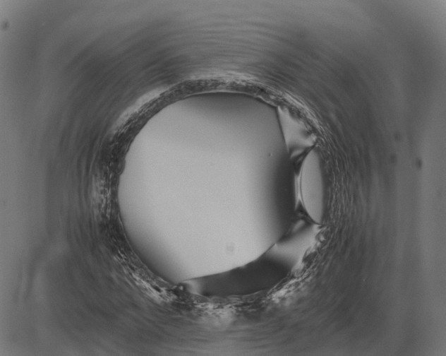 X0000082720872200702091810