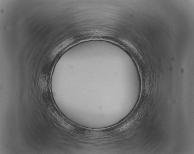 X0000082720873200702091810