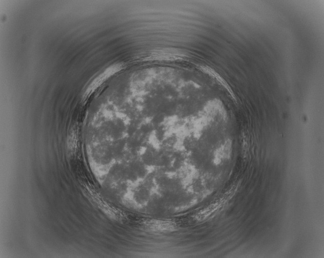 X0000082720874200702091810