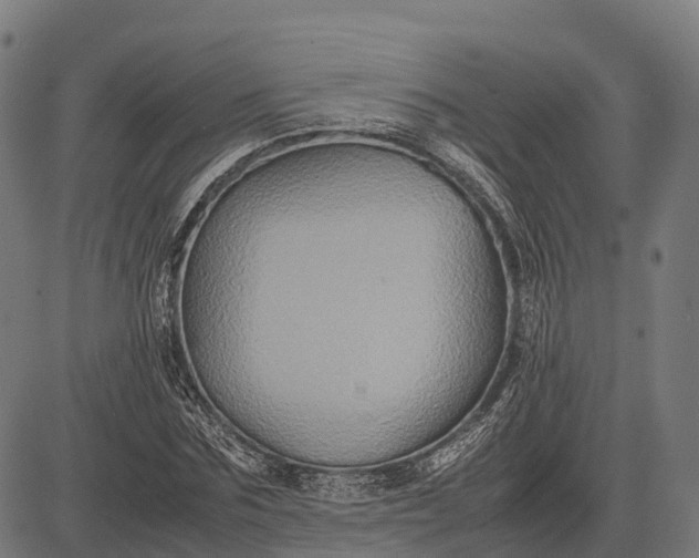 X0000082720875200702091810