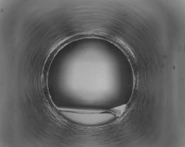 X0000082720876200702091810