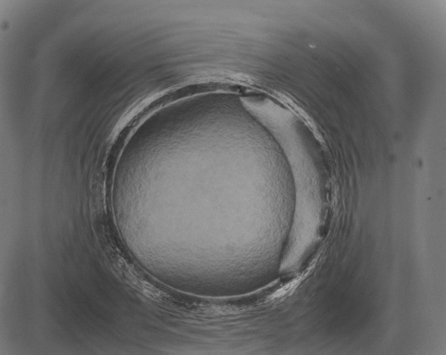 X0000082720877200702091810